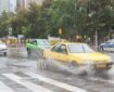 بارش باران در نوار شرقی و غربی کشور/ افزایش نسبی دما از دوشنبه