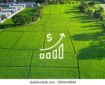 افزایش قیمت زمین در مناطق مختلف کشور