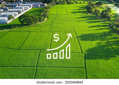 افزایش قیمت زمین در مناطق مختلف کشور